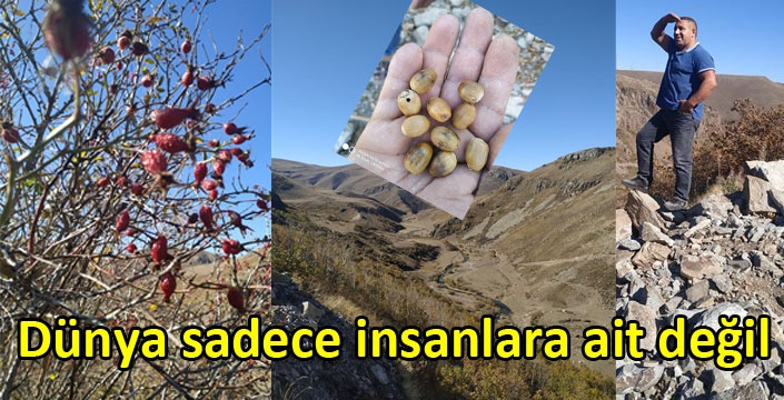 Dünya sadece insanlara ait değil