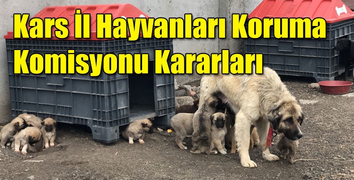 Kars İl Hayvanları Koruma Komisyonu Kararları