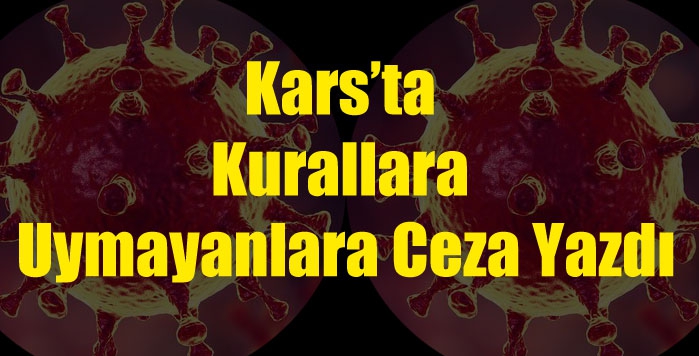 Kars’ta Kurallara Uymayanlara Ceza Yazdı