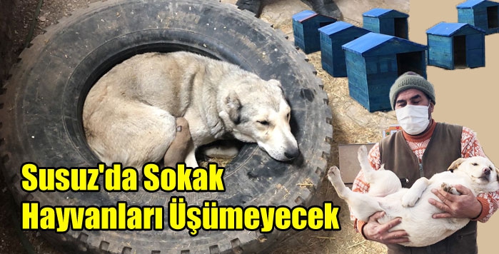 Susuz'da Sokak Hayvanları Üşümeyecek