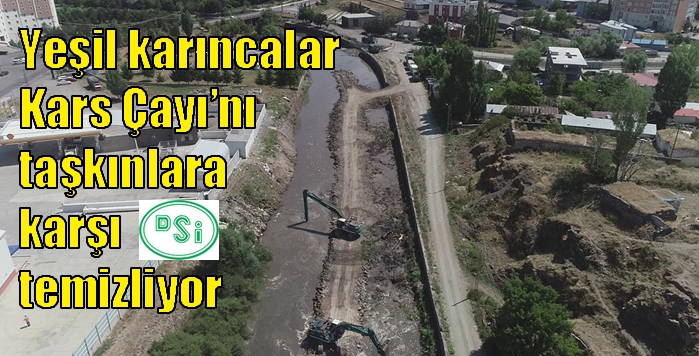 Yeşil karıncalar Kars Çayı’nı taşkınlara karşı temizliyor