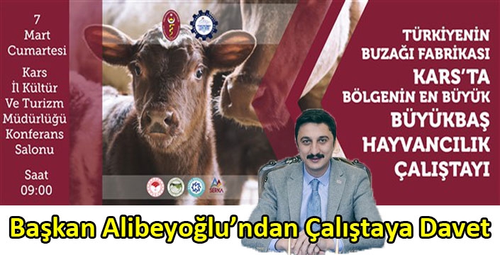 Başkan Alibeyoğlu’ndan Çalıştaya Davet