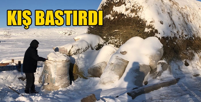 Kış bastırdı her tarafı kar bürüdü